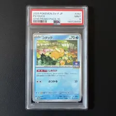 コダック ジムプロモ しめりけ　PSA9