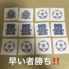 サンフレ　タトゥーシール