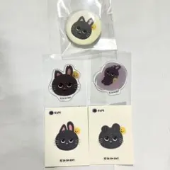RIIZE ペンコン ファンコン MD バック ウォンビン - メルカリ