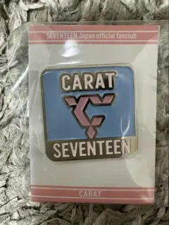 SEVENTEEN ピンバッジ SEVENTEEN BE THE SUN ビーザサン ピンバッジ - メルカリ