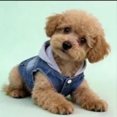 Item thumbnail for item 522b213d-3acd-432b-99e2-111cbb96742a