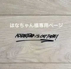 はなちゃん様専用ページ