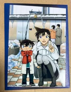 名探偵コナン 隻眼の残像 コレクターズクラブ限定毛利蘭　江戸川コナン
