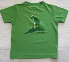 モンベル　スイス　グリンデルヴァルト店限定Tシャツ 100cm ウィックロン