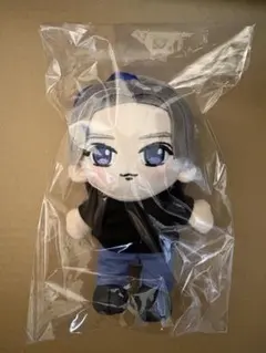 w-inds.ぬいぐるみキーホルダーとツアートラック w-inds.ぬいぐるみキーホルダーとツアートラック - メルカリ