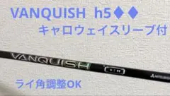 コージ様 VANQUISH 4S pingスリーブ - メルカリ