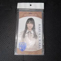 2026年最新】チケットホルダー 乃木坂の人気アイテム - メルカリ