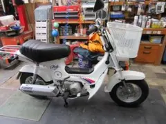 Honda Chaly 　ホンダシャリー50ホワイト バイク車体のサムネイル