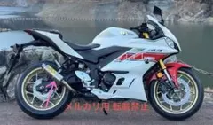 ARROW GP チタンサイレンサー YZF-R25 YZF-R3 ARROW GP チタンサイレンサー YZF-R25 YZF-R3 - メルカリ