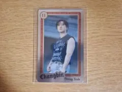 StrayKids dominATE ライブフォト 事後通販 チャンビン➀