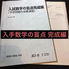 駿台　盲点B 数学エクスプレス　盲点完成編　2018年度　テキスト板書配布物 駿台 盲点B 数学エクスプレス 盲点完成編 2018年度 テキスト板書配布物