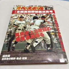 稲葉篤紀 2000本安打達成記念 DVD 非売品 - メルカリ