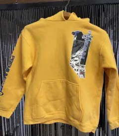 Item thumbnail for item 06d6f1f6-5bea-4f26-90ae-4399b6a95482