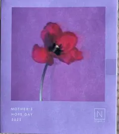 N organic（エヌオーガニック)