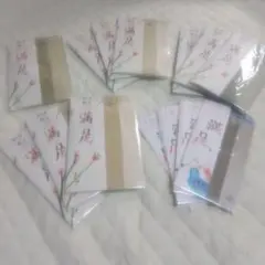 Item thumbnail for item 92fa3116-784f-4d13-be4a-817507989198