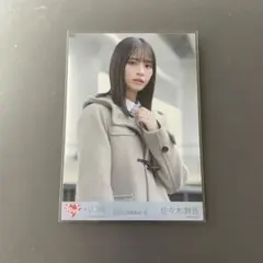 Item thumbnail for item ce4de3b5-b85b-43a9-b003-e7f8e3ac74d7