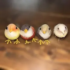 4羽セット☆小鳥