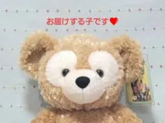 厳選❤️ ダッフィー Sサイズ ぬいぐるみ 東京ディズニーシー
