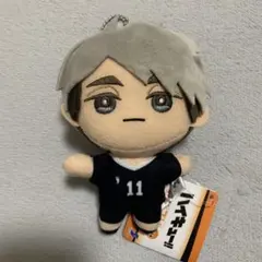 宮治　ハイキュー　みにコレ　ぬいぐるみマスコット5