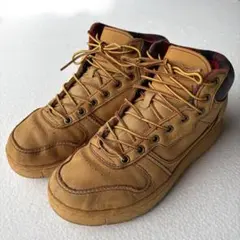 Item thumbnail for item 0f7fa234-723b-4762-9a14-6333904e3a8a