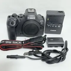 2025年最新】Canon r6 mark2の人気アイテム - メルカリ