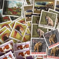 t510様 リクエスト 2点 まとめ商品