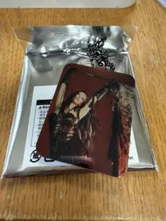 会場限定 ちゃんみな AOD4 PHOTO KEYRING - メルカリ