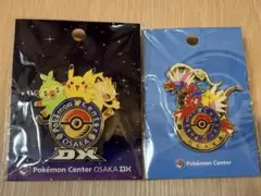 ポケモンラン 日本初開催 沖縄 有料オプション 記念メダル ガーディ