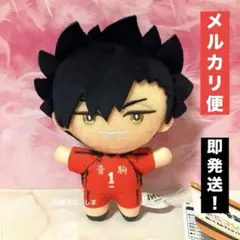ハイキュー!! みにコレ！ぬいぐるみマスコット4 黒尾鉄朗