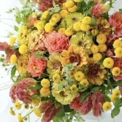 ぽち様の専用出品