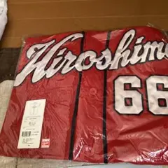 広島東洋カープ ハイクオリティユニフォーム 遠藤 66その他