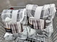 Item thumbnail for item 9c4120e5-a77d-46e4-a12f-2bc2600207ba