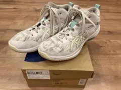 ASICS ゲルフープ V17 25.5cm