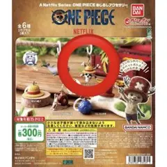 ONE PIECE Netflix めじるしアクセサリー　ジョリーロジャー
