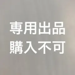 おもち様　専用出品