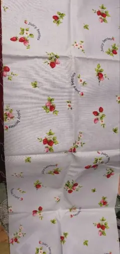 Item thumbnail for item c2eb53e4-bd69-4895-8bb9-6cbf30f730aa