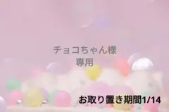 チョコちゃん様❁⃘*.゜専用ページ