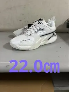 Item thumbnail for item e5f7f588-cae5-4573-ae68-421d493ac3af