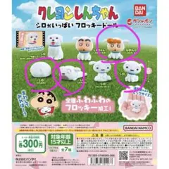 シロがいっぱいフロッキードール