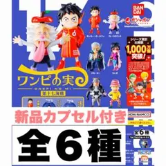 ワンピの実 カプセル付き 第十七海戦 コンプリートセット フルコンプ