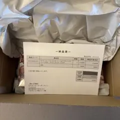 【シュリンク付き新品未開封】スペシャルBOX ポケモンセンター トウホク