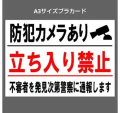 Item thumbnail for item 759524df-a5fa-4a62-8d83-7158f25f26c1