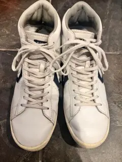 Item thumbnail for item 8a627b07-a588-4378-86e7-a5ac788a2c4a