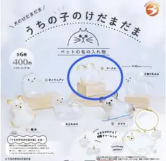 うちの子のけだまだま　犬　プードル　ガチャ