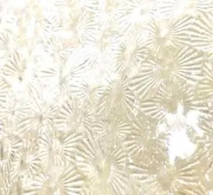 Item thumbnail for item 07276e7d-e45e-4998-879e-0b6411518f4a