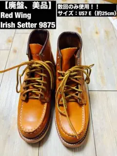 【廃盤・美品】RedWing Irish Setter 9875 US7E犬タグのサムネイル