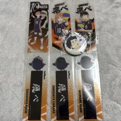 ハイキュー!! 烏野高校 ①