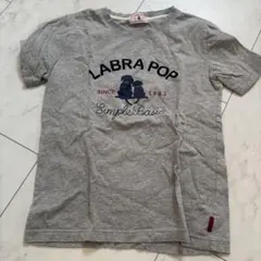 ラブラドール　グレーTシャツ　犬　ちびT