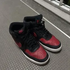 コートビジョン 25.5
