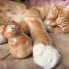 けだまだま 6個セット 猫 キーホルダー 猫の毛入れ コンプリート メモリアル